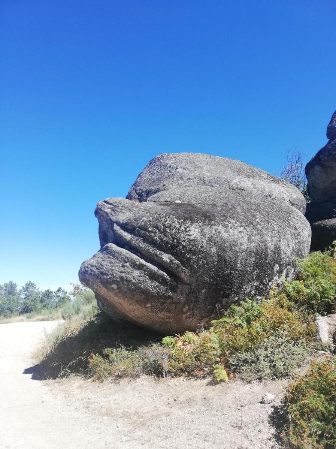 Sambuc'Asa - Serra Da Estrela Sabugueiro  Eksteriør bilde