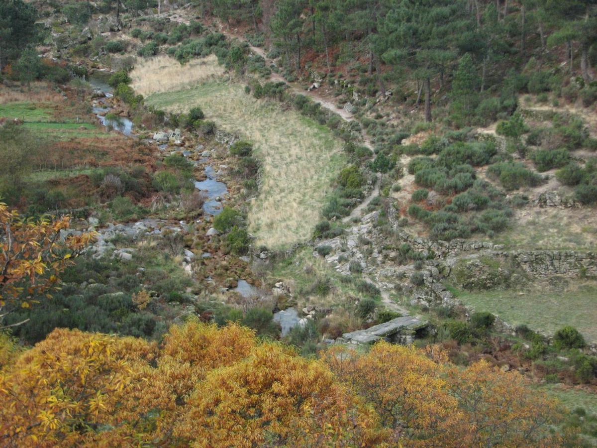 Sambuc'Asa - Serra Da Estrela Sabugueiro  Eksteriør bilde